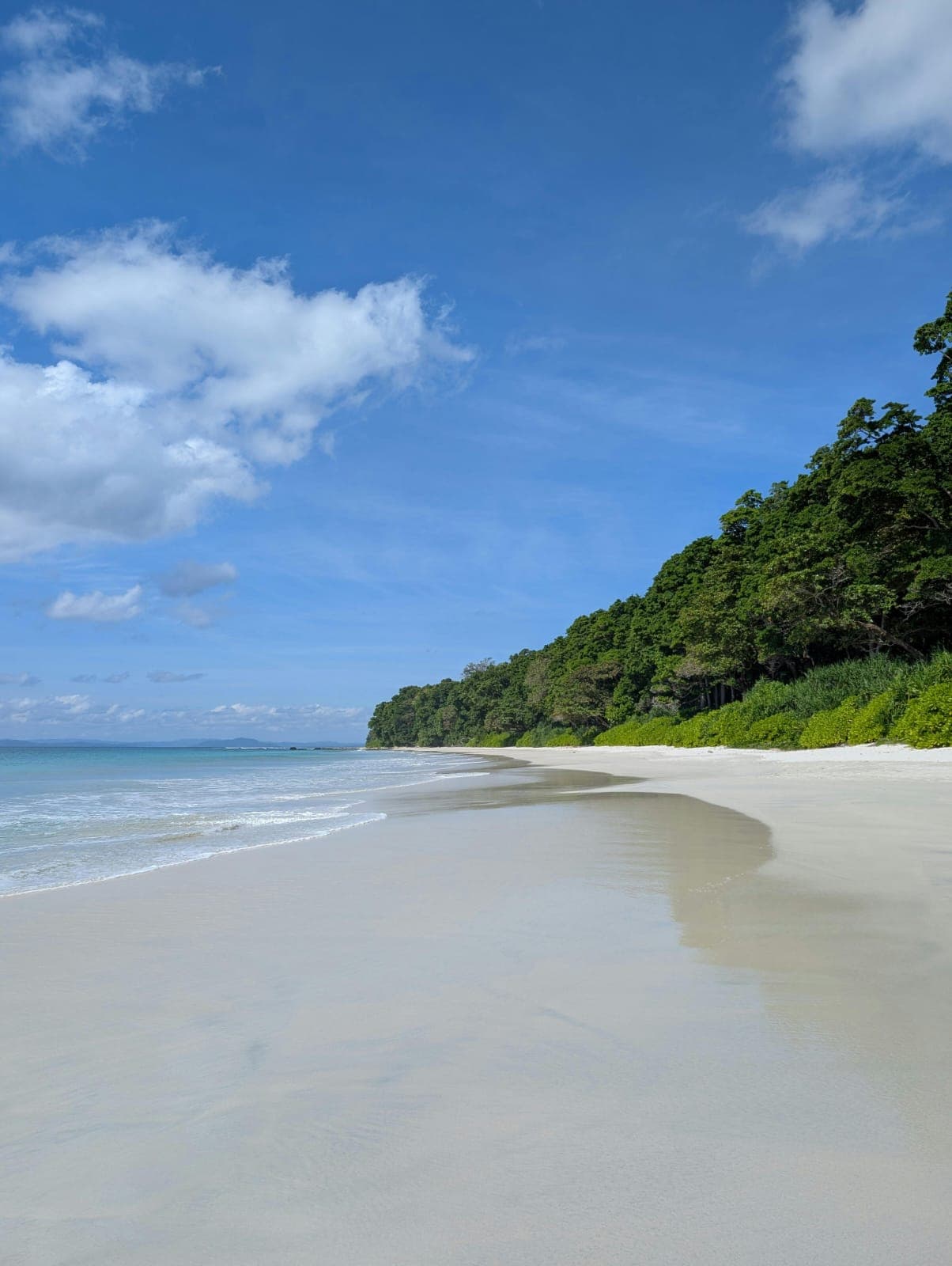 Pristine white sand beach flanked by lush tropical forest in Andaman
