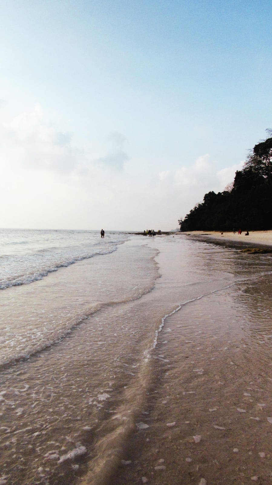 Radhanagar Beach on Havelock Island with gentle waves and tree-lined shore