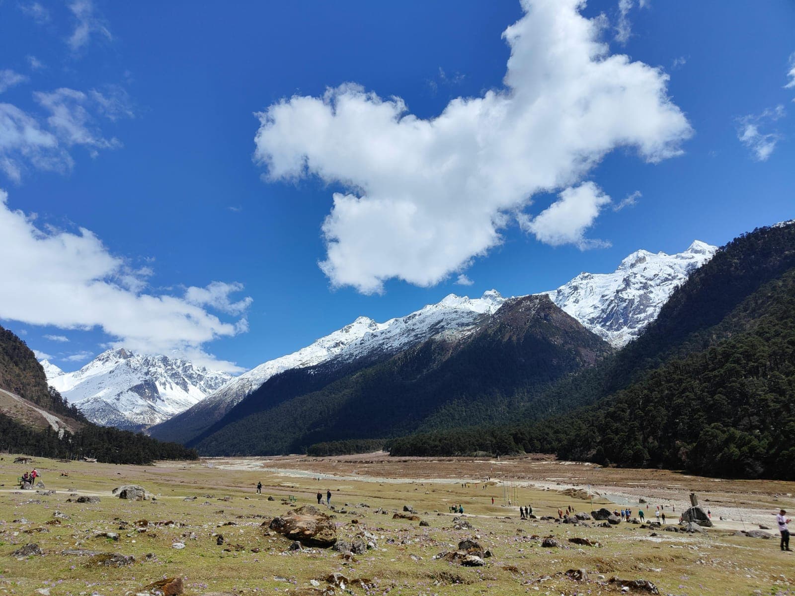 Yumthang Valley with snow-capped Himalayan peaks under a blue sky